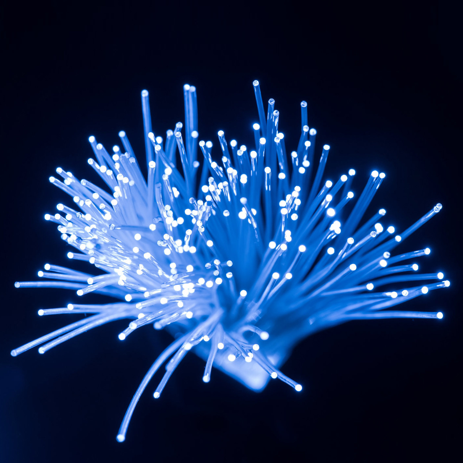 Fibra Óptica Transparente PMMA - Decor Lighting Fixtures avaliação e preço